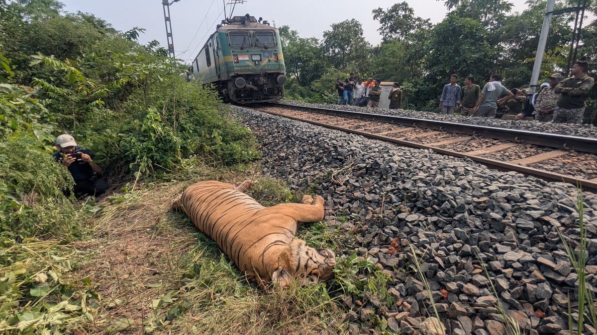 Train strikes: 18 kills by the Ballarshah Gondia Railway
